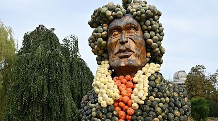Insgesamt elf Kürbisfiguren entstanden für die diesjährige Ausstellung. / Foto: Martin Schutt/dpa