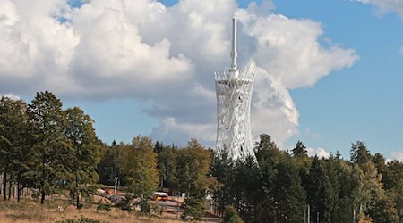 Blick auf den 70 Meter hohen «Hexenbesen» im Harz. / Foto: Matthias Bein/dpa