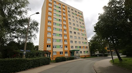 Tausende Plätze werden jedes Jahr neu vergeben.  / Foto: Bodo Schackow/dpa