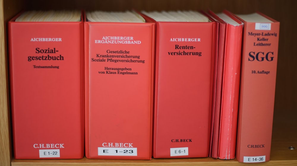 Die Sozialgesetze müssten aus Sicht einer Expertin vereinfacht werden. (Symbolbild) / Foto: picture alliance / dpa