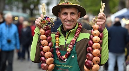 Begehrtes Produkt: Spiralförmig zu Zöpfen gewickelte rote und helle Zwiebeln sind das Markenzeichen der Heldrunger Zwiebelbauern. (Archivbild) / Foto: Martin Schutt/dpa