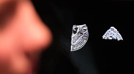 Seit 2008 gibt es den Mitteldeutschen Archäologentag, der jedes Jahr vom Landesamt für Denkmalpflege und Archäologie Sachsen-Anhalt veranstaltet wird. (Archivbild)  / Foto: Sebastian Willnow/dpa
