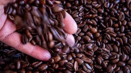Die Entwicklung bei den Kaffeepreisen dürfte vielen Thüringern nicht schmecken. (Symbolbild) / Foto: Jens Büttner/dpa
