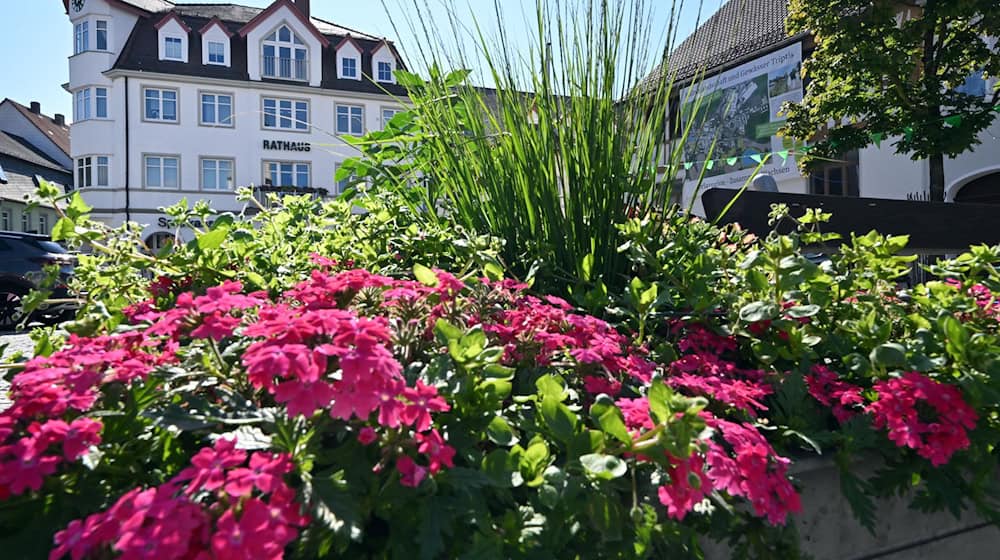 Thüringen verschiebt die geplanten Landesgartenschauen in der Saale-Orla-Region und in Altenburg um jeweils zwei Jahre.  / Foto: Martin Schutt/dpa