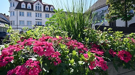 Thüringen verschiebt die geplanten Landesgartenschauen in der Saale-Orla-Region und in Altenburg um jeweils zwei Jahre.  / Foto: Martin Schutt/dpa
