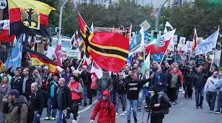 In der Vergangenheit wurde etwa bei Demonstrationen gegen Maßnahmen in der Corona-Pandemie staatliche Symbole in verunglimpfender Weise genutzt. (Archivbild)  / Foto: Bodo Schackow/dpa