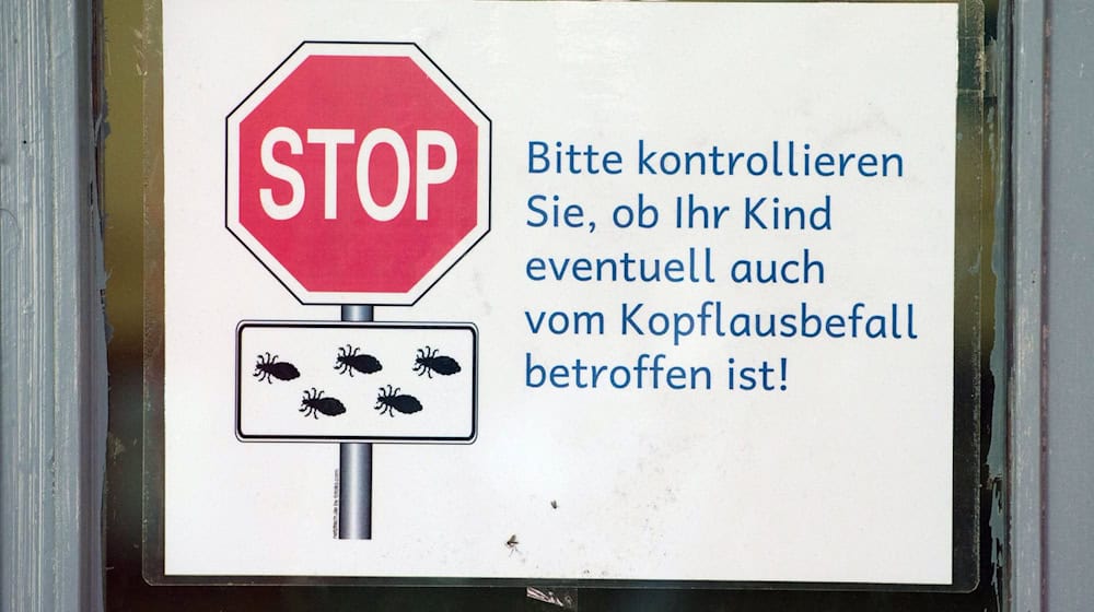 Immer mehr Kinder in Thüringen weisen Fälle von Parasitenbefall auf, zeigen Zahlen der Kassenärztlichen Vereinigung Thüringen. (Archivbild)  / Foto: Sebastian Kahnert/dpa