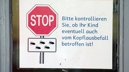 Immer mehr Kinder in Thüringen weisen Fälle von Parasitenbefall auf, zeigen Zahlen der Kassenärztlichen Vereinigung Thüringen. (Archivbild)  / Foto: Sebastian Kahnert/dpa