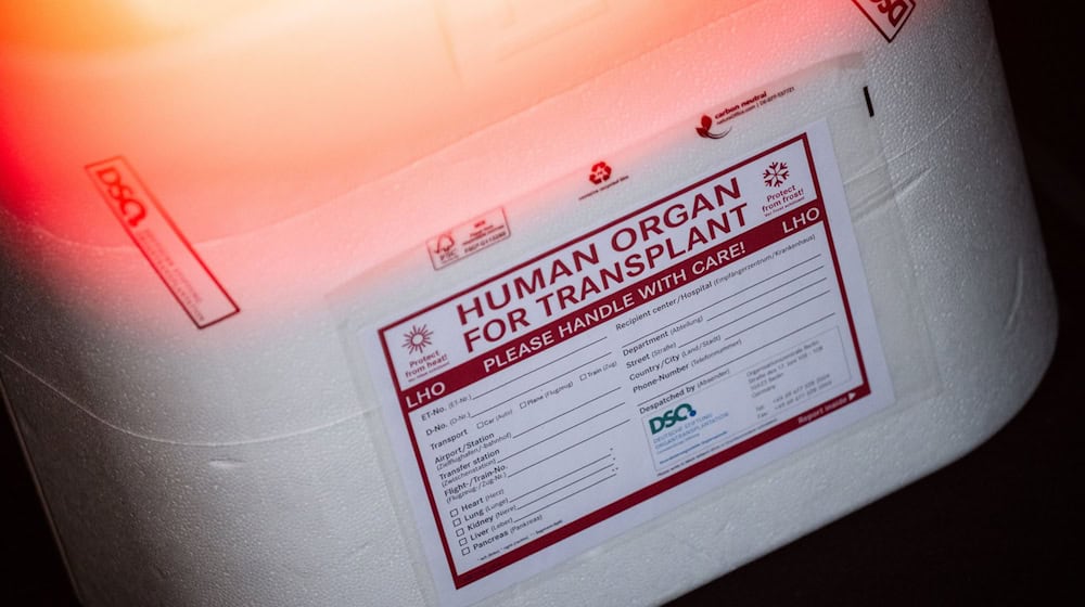 280 Menschen aus Thüringen stehen auf der Warteliste für Spenderorgane. (Symbolbild) / Foto: Sebastian Gollnow/dpa 280 Menschen aus Thüringen stehen auf der Warteliste für Spenderorgane. (Symbolbild) / Foto: Sebastian Gollnow/dpa