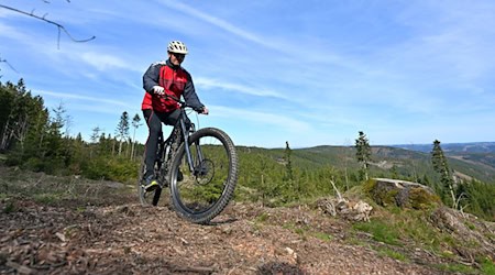 Für die Nutzung von Mountainbike-Strecken abseits befestigter Wege erhebt Thüringenforst ein Entgelt gegenüber Vereinen und Tourismus. Das sorgt für Kritik vom Regionalverbund Thüringer Wald. (Archivbild) / Foto: Martin Schutt/dpa