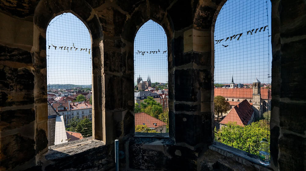 Erfurts Beiname im Mittelalter war «Erfordia turrita», also in etwa «türmereiches Erfurt». Bei einer besonderen Aktion können viele der noch bestehenden Türme in der Altstadt kostenlos besucht werden. (Archivfoto) / Foto: Jacob Schröter/dpa