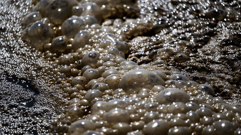 Nach einer EU-Regelung müssen große Kommunen ab 2035 die Belastung ihrer Abwässer durch Mikroschadstoffe um 80 Prozent reduzieren (Symbolbild). / Foto: Hendrik Schmidt/dpa