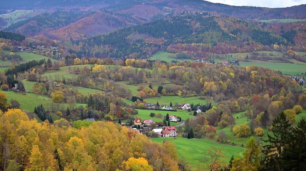 Besonders waldreich sind die Landkreise Schmalkalden-Meiningen, Saalfeld-Rudolstadt und der Wartburgkreis. (Symbolbild) / Foto: Martin Schutt/dpa