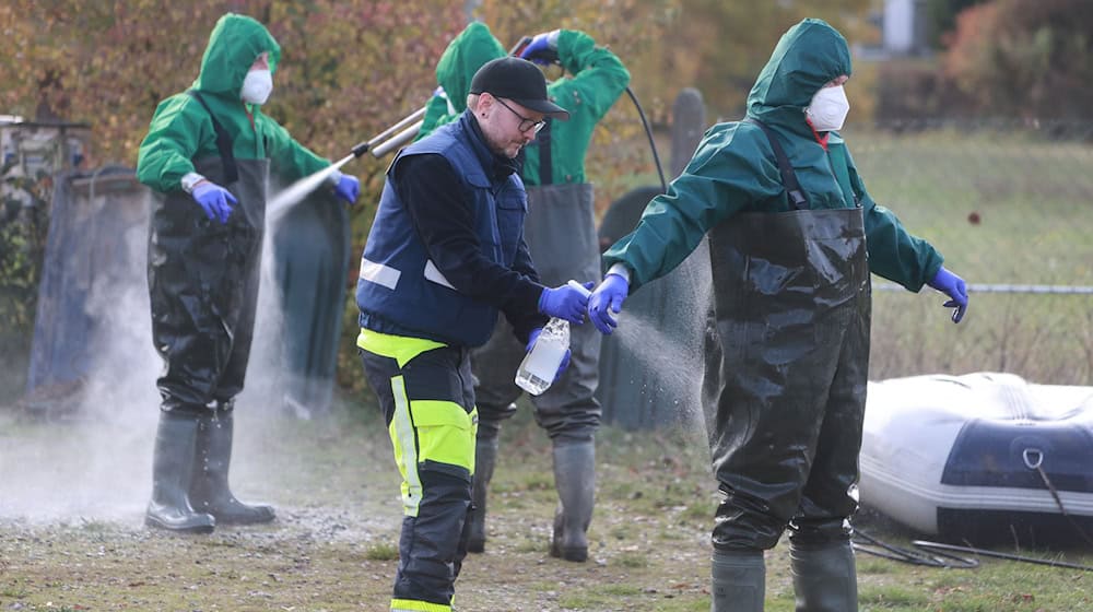 Die Thüringer Behörden haben Maßnahmen gegen eine weitere Ausbreitung der Vogelgrippe ergriffen. (Archivbild) / Foto: Matthias Bein/dpa