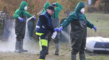 Die Thüringer Behörden haben Maßnahmen gegen eine weitere Ausbreitung der Vogelgrippe ergriffen. (Archivbild) / Foto: Matthias Bein/dpa