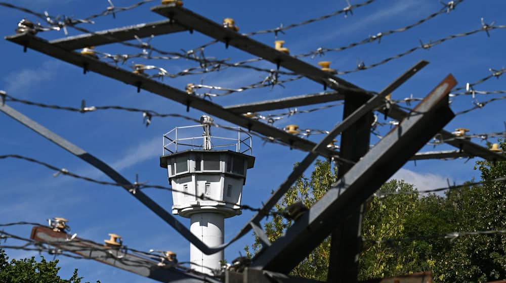 Die ehemaligen Grenzanlagen in Mödlareuth erinnern an die Teilung Deutschlands - und des Dorfes. (Archivbild)  / Foto: Martin Schutt/dpa