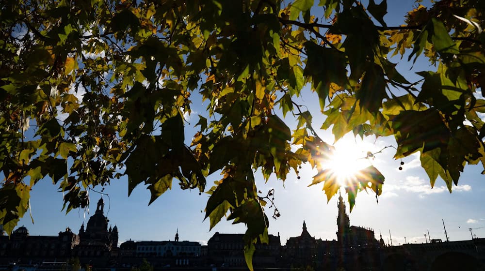 Wetter zum Genießen erwartet die Menschen am verlängerten Wochenende. (Archivbild) / Foto: Robert Michael/dpa Wetter zum Genießen erwartet die Menschen am verlängerten Wochenende. (Archivbild) / Foto: Robert Michael/dpa