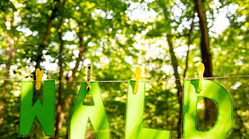 In Thüringen arbeiten derzeit 51 Waldpädagogen bei der Landesforstanstalt. (Symbolbild) / Foto: Christoph Soeder/dpa