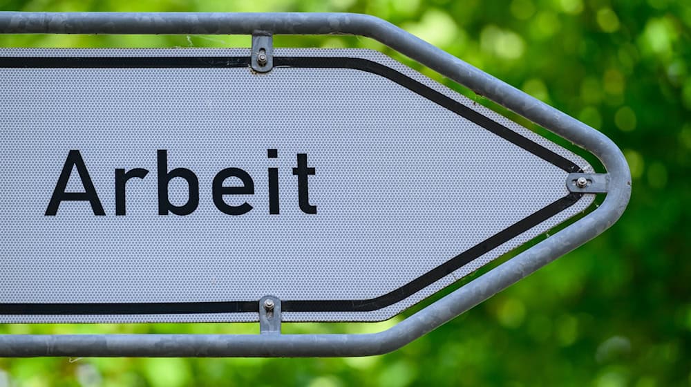 Experten rechnen 2026 in Thüringen mit rund 779.200 sozialversicherungspflichtig Beschäftigten. (Archivbild) / Foto: Patrick Pleul/dpa