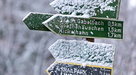 Schneedecke und gespurte Langlaufrouten in Teilen des Thüringer Waldes (Symbolfoto). / Foto: Michael Reichel/dpa