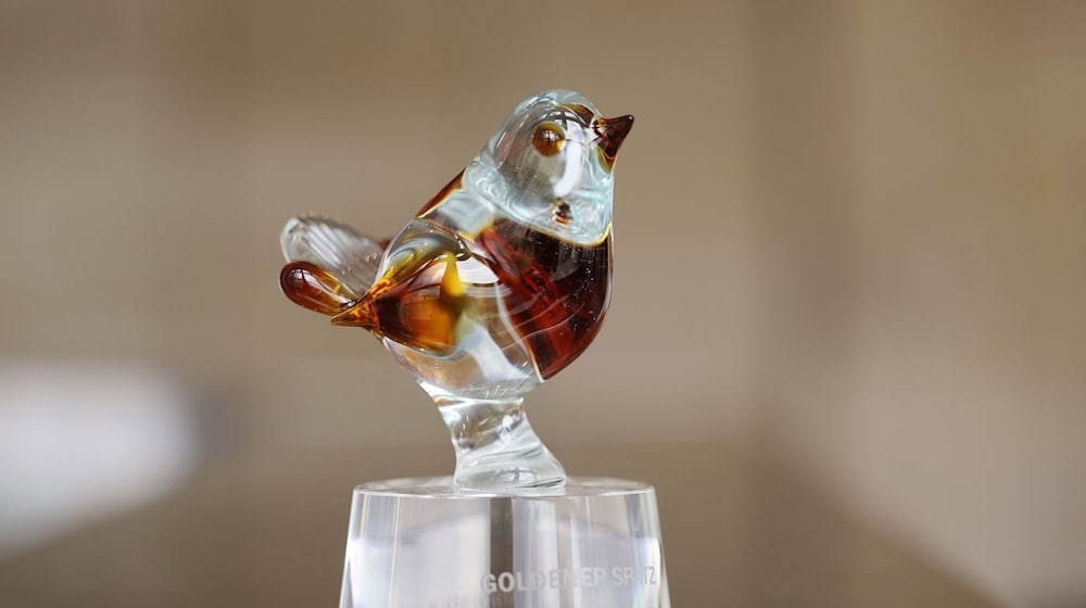 Für das Festival Goldener Spatz 2026 kann man sich ab jetzt bewerben. (Archivbild) / Foto: Bodo Schackow/dpa