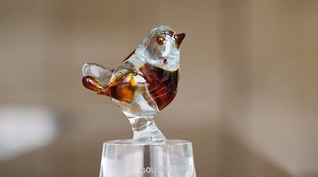 Für das Festival Goldener Spatz 2026 kann man sich ab jetzt bewerben. (Archivbild) / Foto: Bodo Schackow/dpa