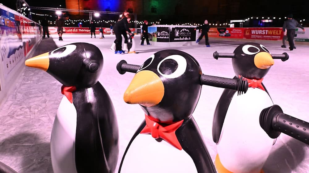 Erfurt, Weimar und Ilmenau gehören zu den Thüringer Städten, in denen im Winter Schlittschuhlaufen auf Open-Air-Kunsteisbahnen oder in Eissporthallen möglich ist. / Foto: Martin Schutt/dpa