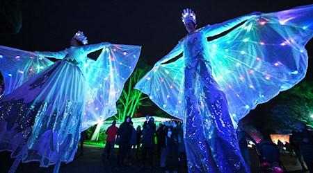 Das Winterleuchten hat im Erfurter egapark schon Tradition. Auch in dieser Saison wird es wieder ein Leucht-Spektakel geben. (Archivbild) / Foto: Martin Schutt/dpa