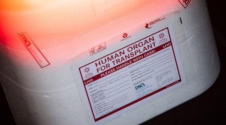 290 Menschen aus Thüringen stehen auf der Warteliste für Spenderorgane. (Symbolbild) / Foto: Sebastian Gollnow/dpa
