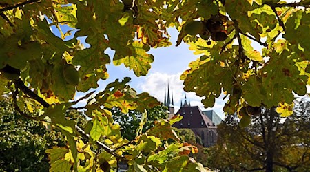 Das Wetter war im Herbst in Thüringen mild. (Symbolbild) / Foto: Martin Schutt/dpa