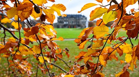 Tagsüber rechnet der DWD mit milden Temperaturen in Mitteldeutschland. (Symbolbild) / Foto: Robert Michael/dpa