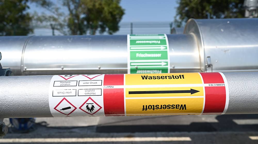 Die ostdeutschen Länder wollen gemeinsam den Zugang zu Wasserstoff verbessern. Eine Studie soll zeigen, wie Kommunen und Industrie am meisten profitieren können. (Symbolbild) / Foto: Lars Penning/dpa