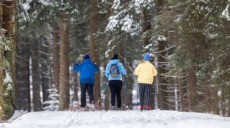 Knapp 50 Kilometer Langlaufstrecken sind im Thüringer Wald präpariert. (Archivbild) / Foto: Michael Reichel/dpa