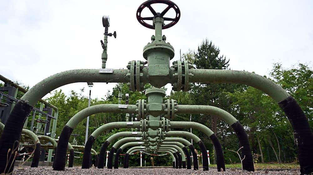 Thüringens Energieminister Tilo Kummer und Gasnetzbetreiber befürworten eine gezielte Förderung von grünem Wasserstoff. (Symbolbild)  / Foto: Martin Schutt/dpa