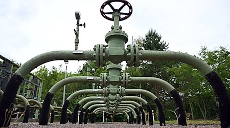 Thüringens Energieminister Tilo Kummer und Gasnetzbetreiber befürworten eine gezielte Förderung von grünem Wasserstoff. (Symbolbild)  / Foto: Martin Schutt/dpa