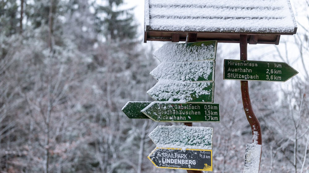 In den Höhenlagen des Thüringer Waldes liegen bis zu 18 Zentimeter Schnee (Archivfoto). / Foto: Michael Reichel/dpa