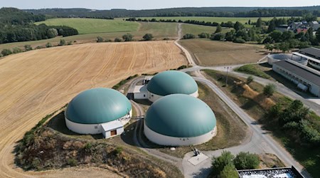 In Thüringen gibt es laut Bauernverband derzeit rund 250 Biogasanlagen. (Archivbild) / Foto: Bodo Schackow/dpa