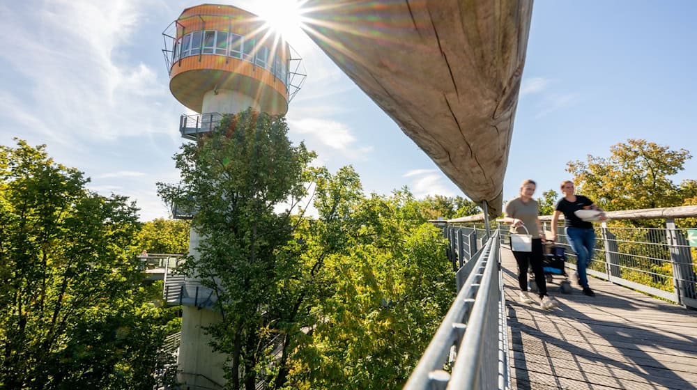 Thüringens Tourismusbranche erzielt im vergangenen Jahr rund 4,17 Milliarden Euro Umsatz. (Symbolbild) / Foto: Jacob Schröter/dpa