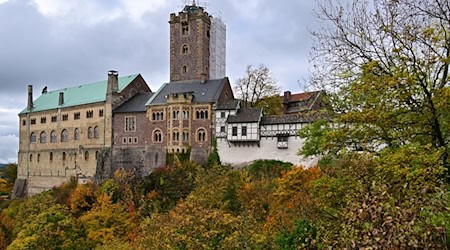 Das Wochenende in Thüringen zeigt sich ruhig, grau und herbstlich mild. (Archivbild) / Foto: Martin Schutt/dpa