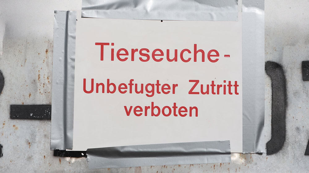 "Tierseuche - Unbefugter Zutritt verboten" steht auf einem Hinweisschild. (Symbolbild)  / Foto: Matthias Bein/dpa