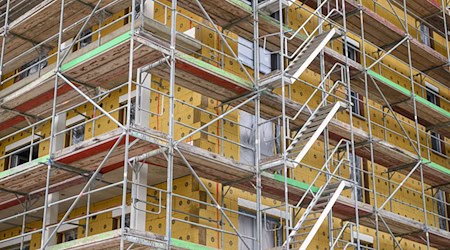 Nach langem Warten startet das Millionen-Projekt für klimafreundliches Bauen in Weimar und Bautzen. (Symbolbild) / Foto: Patrick Pleul/dpa