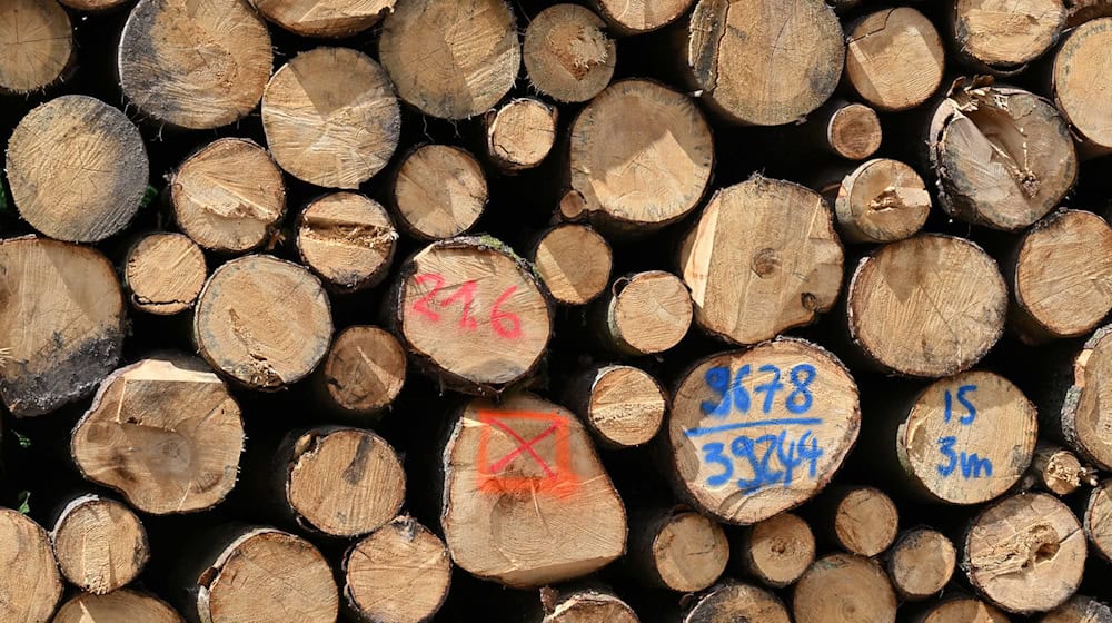 Die Landesforstanstalt Thüringenforst will sich neue Geschäftsfelder im Energiebereich erschließen. (Symbolbild) / Foto: Martin Schutt/dpa
