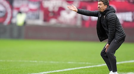 Dynamo-Trainer Thomas Stamm dirigierte vergeblich. / Foto: Thomas Frey/dpa