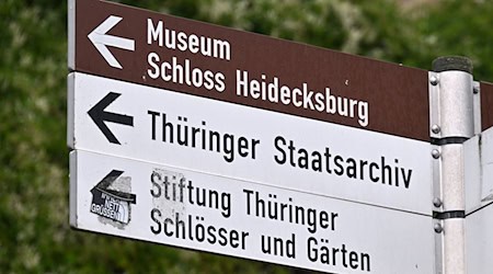 Um die Denkmäler zu schützen, gilt Böllerverbot. (Symbolbild) / Foto: Martin Schutt/dpa