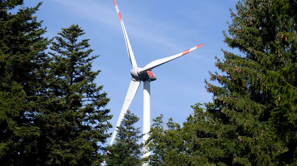 Kommen nach Gesetzesänderung viele Windräder in Thüringens Wälder? (Illustration)  / Foto: Sven Hoppe/dpa