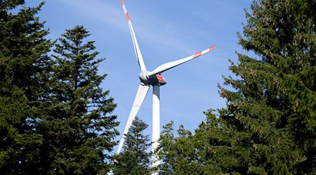 Kommen nach Gesetzesänderung viele Windräder in Thüringens Wälder? (Illustration)  / Foto: Sven Hoppe/dpa