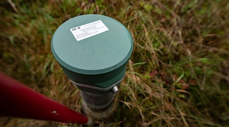 In Thüringen verzeichnen derzeit zwei Drittel der Grundwassermessstellen zu geringe Wasserstände. (Symbolbild) / Foto: Marijan Murat/dpa