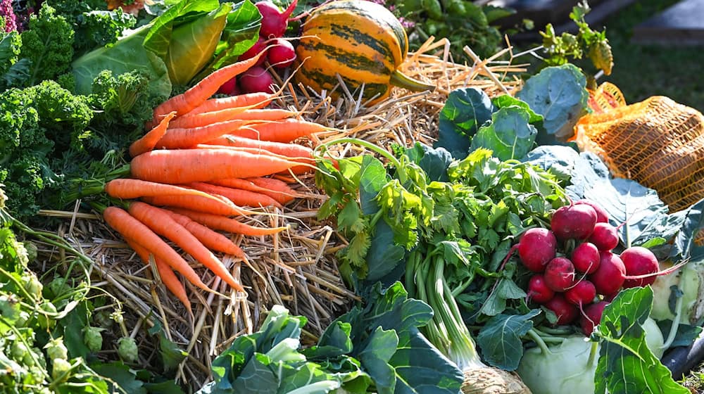 Ein neues Förderprogramm soll Thüringer Landwirten helfen, ihre Produkte etwa auf Messen besser zu bewerben. (Symbolbild) / Foto: Heiko Rebsch/dpa