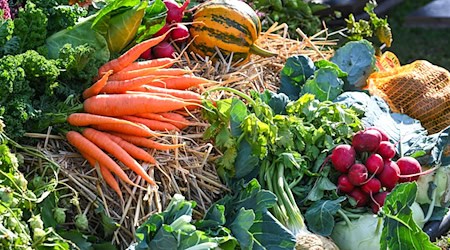 Ein neues Förderprogramm soll Thüringer Landwirten helfen, ihre Produkte etwa auf Messen besser zu bewerben. (Symbolbild) / Foto: Heiko Rebsch/dpa