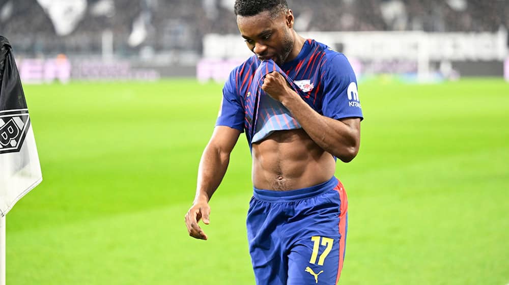 Baku wird den Sachsen fehlen. (Archivbild) / Foto: Ulrich Hufnagel/dpa